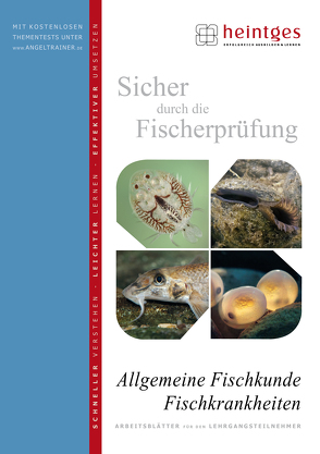 Allgemeine Fischkunde, Fischkrankheiten von Bayrle,  Hermann, Heintges,  Wolfgang
