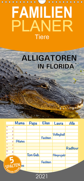 ALLIGATOREN in Florida – Familienplaner hoch (Wandkalender 2021 , 21 cm x 45 cm, hoch) von Wilczek,  Dieter-M.