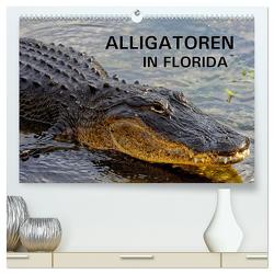 ALLIGATOREN in Florida (hochwertiger Premium Wandkalender 2024 DIN A2 quer), Kunstdruck in Hochglanz von Wilczek,  Dieter