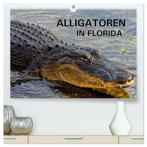 ALLIGATOREN in Florida (hochwertiger Premium Wandkalender 2024 DIN A2 quer), Kunstdruck in Hochglanz von Wilczek,  Dieter