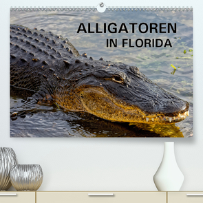 ALLIGATOREN in Florida (Premium, hochwertiger DIN A2 Wandkalender 2021, Kunstdruck in Hochglanz) von Wilczek,  Dieter-M.