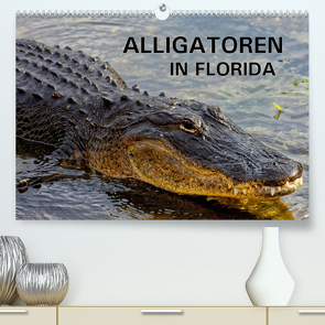 ALLIGATOREN in Florida (Premium, hochwertiger DIN A2 Wandkalender 2022, Kunstdruck in Hochglanz) von Wilczek,  Dieter-M.