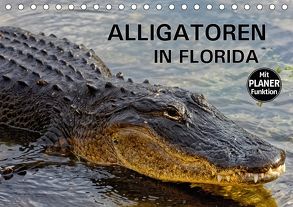 ALLIGATOREN IN FLORIDA (Tischkalender 2018 DIN A5 quer) von Wilczek,  Dieter-M.