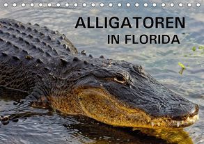 ALLIGATOREN in Florida (Tischkalender 2018 DIN A5 quer) von Wilczek,  Dieter-M.