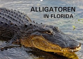 ALLIGATOREN in Florida (Wandkalender 2018 DIN A2 quer) von Wilczek,  Dieter-M.