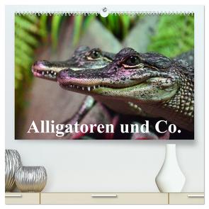 Alligatoren und Co. (hochwertiger Premium Wandkalender 2024 DIN A2 quer), Kunstdruck in Hochglanz von Stanzer,  Elisabeth