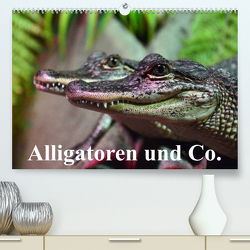 Alligatoren und Co. (Premium, hochwertiger DIN A2 Wandkalender 2023, Kunstdruck in Hochglanz) von Stanzer,  Elisabeth