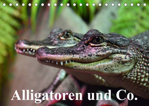 Alligatoren und Co. (Tischkalender 2023 DIN A5 quer) von Stanzer,  Elisabeth