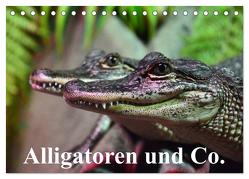 Alligatoren und Co. (Tischkalender 2024 DIN A5 quer), CALVENDO Monatskalender von Stanzer,  Elisabeth