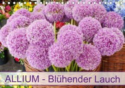 Allium Blühender Lauch (Tischkalender 2021 DIN A5 quer) von Kruse,  Gisela