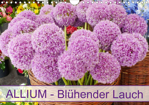 Allium Blühender Lauch (Wandkalender 2020 DIN A4 quer) von Kruse,  Gisela