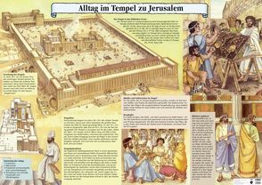 Alltag im Tempel zu Jerusalem von Bühlmann,  Walter, Egger,  Christine, Schwegler,  Annemarie