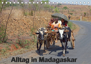 Alltag in Madagaskar (Tischkalender 2023 DIN A5 quer) von Brüchle,  Willy