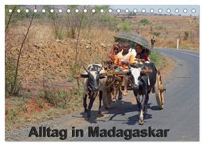 Alltag in Madagaskar (Tischkalender 2024 DIN A5 quer), CALVENDO Monatskalender von Brüchle,  Willy
