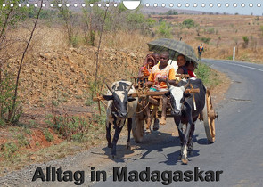 Alltag in Madagaskar (Wandkalender 2023 DIN A4 quer) von Brüchle,  Willy