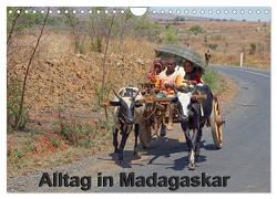 Alltag in Madagaskar (Wandkalender 2024 DIN A4 quer), CALVENDO Monatskalender von Brüchle,  Willy
