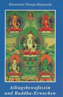 Alltagsbewußtsein und Buddha-Erwachen von Brunnhölzl,  Karl, EURATIO, Kagyü Dharma Verlag, Khentchen Thrangu Rinpotsche, Schefczyk,  Susanne, Thrangu Rinpoche