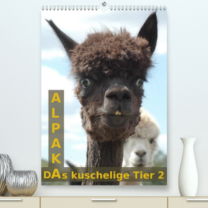 Alpaka, das kuschelige Tier 2 (Premium, hochwertiger DIN A2 Wandkalender 2023, Kunstdruck in Hochglanz) von Brömstrup,  Peter