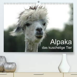 Alpaka, das kuschelige Tier (Premium, hochwertiger DIN A2 Wandkalender 2023, Kunstdruck in Hochglanz) von Brömstrup,  Peter