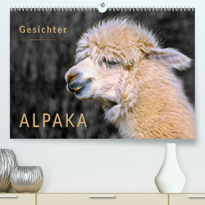 Alpaka Gesichter (Premium, hochwertiger DIN A2 Wandkalender 2020, Kunstdruck in Hochglanz) von Roder,  Peter
