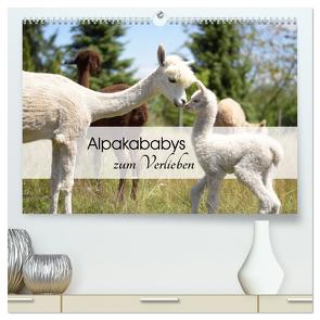 Alpakababys zum Verlieben (hochwertiger Premium Wandkalender 2024 DIN A2 quer), Kunstdruck in Hochglanz von Rentschler,  Heidi