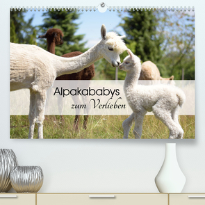 Alpakababys zum Verlieben (Premium, hochwertiger DIN A2 Wandkalender 2023, Kunstdruck in Hochglanz) von Rentschler,  Heidi
