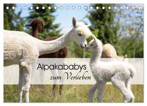 Alpakababys zum Verlieben (Tischkalender 2024 DIN A5 quer), CALVENDO Monatskalender von Rentschler,  Heidi