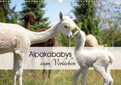 Alpakababys zum Verlieben (Wandkalender 2023 DIN A3 quer) von Rentschler,  Heidi