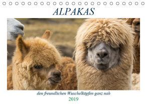 Alpakas – den freundlichen Wuschelköpfen ganz nah (Tischkalender 2019 DIN A5 quer) von Mentil,  Bianca