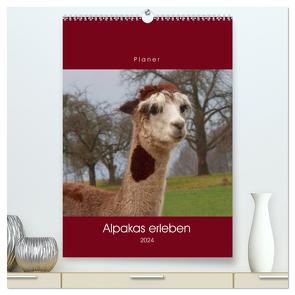 Alpakas erleben (hochwertiger Premium Wandkalender 2024 DIN A2 hoch), Kunstdruck in Hochglanz von Keller,  Angelika