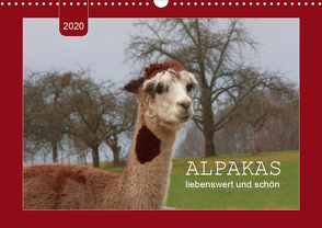 Alpakas – liebenswert und schön (Wandkalender 2020 DIN A3 quer) von Keller,  Angelika