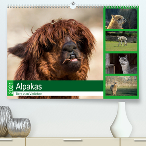 Alpakas – Tiere zum Verlieben (Premium, hochwertiger DIN A2 Wandkalender 2021, Kunstdruck in Hochglanz) von Mentil,  Bianca