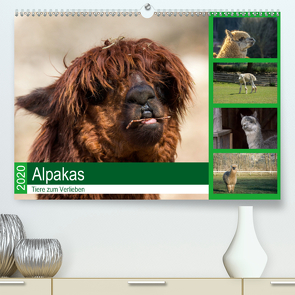 Alpakas – Tiere zum Verlieben (Premium, hochwertiger DIN A2 Wandkalender 2020, Kunstdruck in Hochglanz) von Mentil,  Bianca