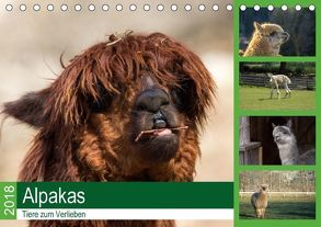Alpakas – Tiere zum Verlieben (Tischkalender 2018 DIN A5 quer) von Mentil,  Bianca