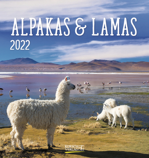 Alpakas und Lamas 2022 von Korsch Verlag