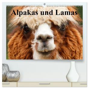 Alpakas und Lamas (hochwertiger Premium Wandkalender 2024 DIN A2 quer), Kunstdruck in Hochglanz von Stanzer,  Elisabeth