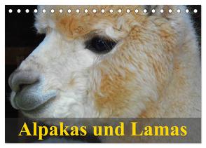 Alpakas und Lamas (Tischkalender 2024 DIN A5 quer), CALVENDO Monatskalender von Stanzer,  Elisabeth