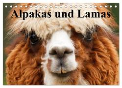 Alpakas und Lamas (Tischkalender 2024 DIN A5 quer), CALVENDO Monatskalender von Stanzer,  Elisabeth