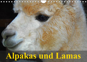Alpakas und Lamas (Wandkalender 2023 DIN A4 quer) von Stanzer,  Elisabeth