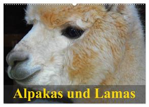 Alpakas und Lamas (Wandkalender 2024 DIN A2 quer), CALVENDO Monatskalender von Stanzer,  Elisabeth