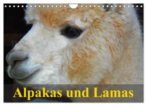 Alpakas und Lamas (Wandkalender 2024 DIN A4 quer), CALVENDO Monatskalender von Stanzer,  Elisabeth