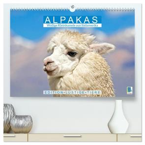 Alpakas: Wollige Kleinkamele aus Südamerika – Edition lustige Tiere (hochwertiger Premium Wandkalender 2024 DIN A2 quer), Kunstdruck in Hochglanz von CALVENDO,  CALVENDO