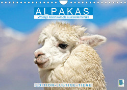 Alpakas: Wollige Kleinkamele aus Südamerika – Edition lustige Tiere (Wandkalender 2023 DIN A4 quer) von CALVENDO