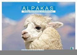 Alpakas: Wollige Kleinkamele aus Südamerika – Edition lustige Tiere (Wandkalender 2024 DIN A2 quer), CALVENDO Monatskalender von CALVENDO,  CALVENDO