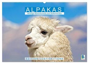 Alpakas: Wollige Kleinkamele aus Südamerika – Edition lustige Tiere (Wandkalender 2024 DIN A2 quer), CALVENDO Monatskalender von CALVENDO,  CALVENDO