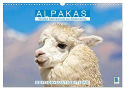 Alpakas: Wollige Kleinkamele aus Südamerika – Edition lustige Tiere (Wandkalender 2024 DIN A3 quer), CALVENDO Monatskalender von CALVENDO,  CALVENDO