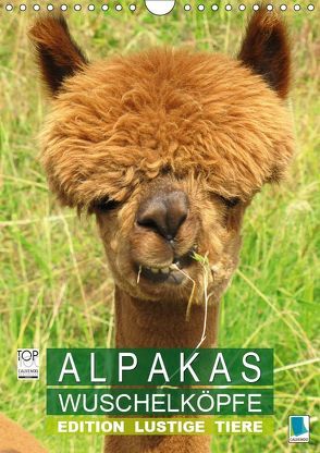 Alpakas: Wuschelköpfe – Edition lustige Tiere (Wandkalender 2019 DIN A4 hoch) von CALVENDO