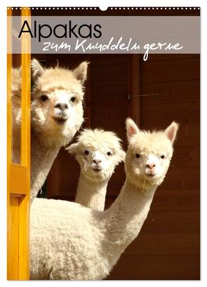 Alpakas zum Knuddeln gerne (Wandkalender 2024 DIN A2 hoch), CALVENDO Monatskalender von Rentschler,  Heidi