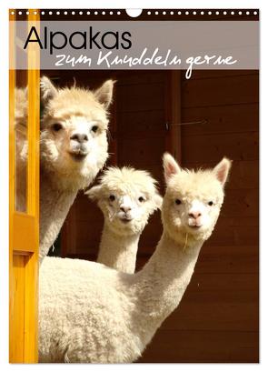 Alpakas zum Knuddeln gerne (Wandkalender 2024 DIN A3 hoch), CALVENDO Monatskalender von Rentschler,  Heidi