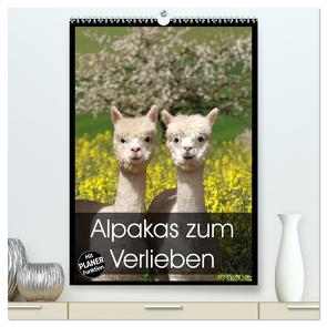 Alpakas zum Verlieben (hochwertiger Premium Wandkalender 2024 DIN A2 hoch), Kunstdruck in Hochglanz von Rentschler,  Heidi